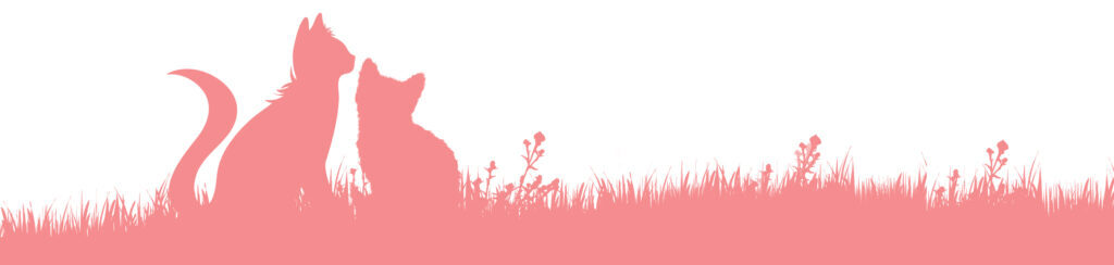 Cattery Sheffield and Chesterfield