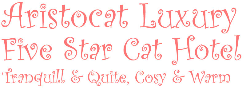 Cattery Chesterfield