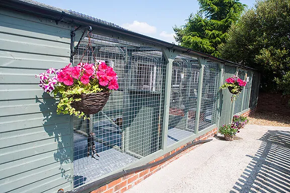 Cattery Chesterfiel