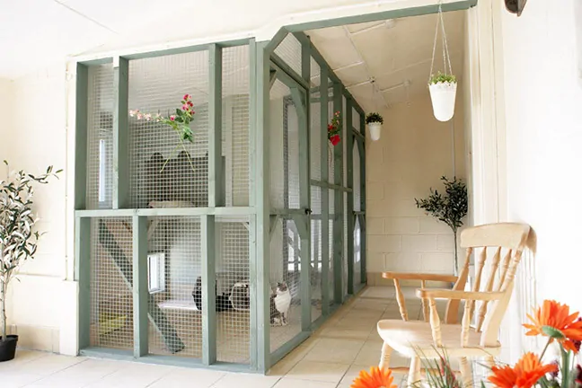 Cattery Chesterfield